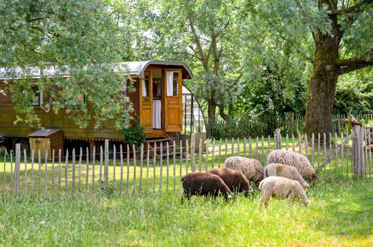 La Roulotte De La Ferme De Froidefontaine Campsite Havelange